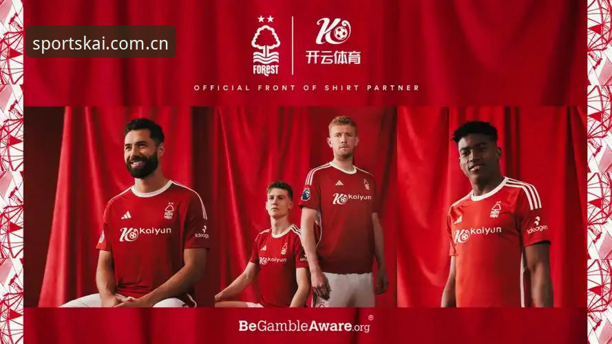 揭秘开云体育入口频繁变动的真相：从v2.0.8更新看移动端赛事APP的生存法则